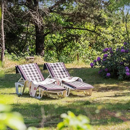 Prázdninový dům Bl445-blokhus-bag-hojen-65 *